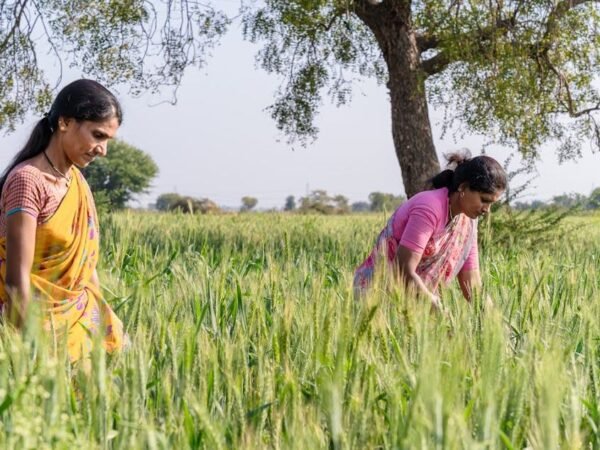 ippb credit card apply