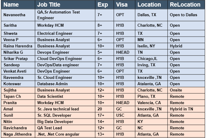 .NET Developer Hotlist