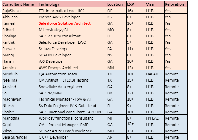 Salesforce Developer Jobs Hotlist