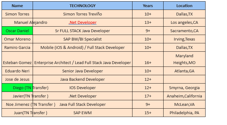 .Net Developer Jobs HOTLIST