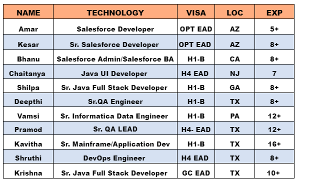 Salesforce Developer Jobs Hotlist