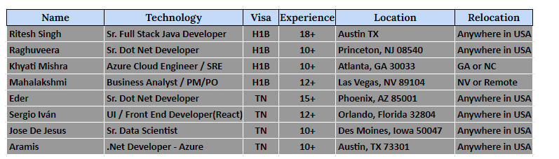 Business Analyst C2C Jobs Hotlist,
