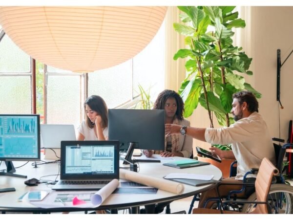 Salesforce Project Manager