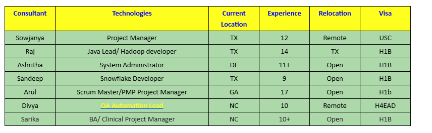 QA Automation Lead Hotlist,