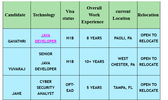 JAVA DEVELOPER c2c jobs hotlist