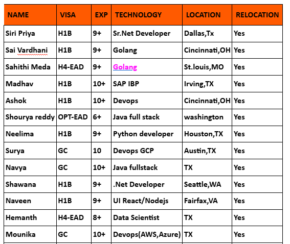 .Net Developer Hotlist