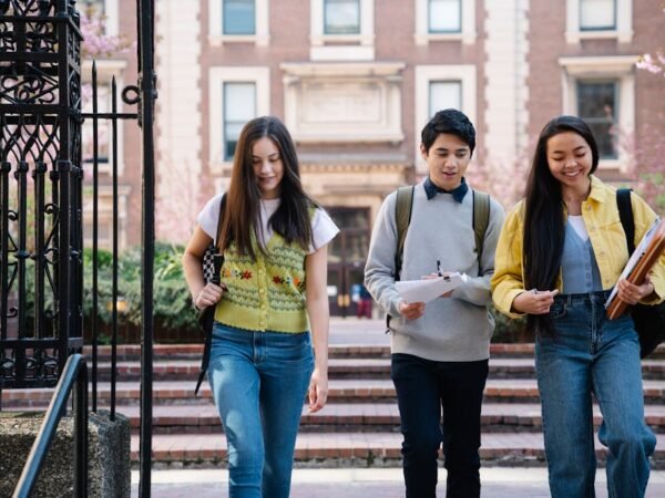 shoolini university course admissions