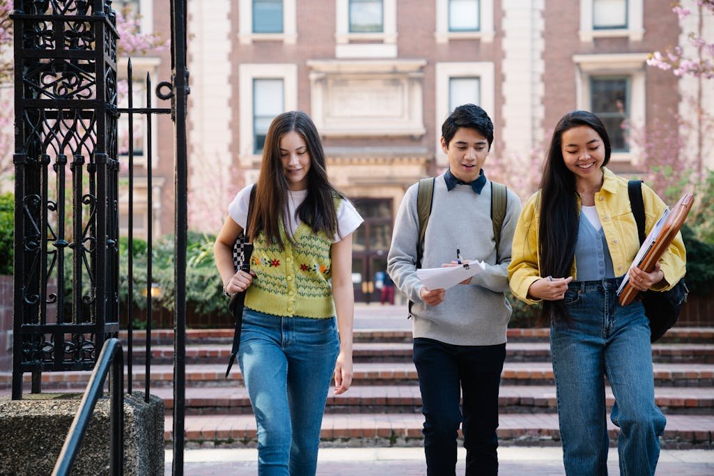 shoolini university course admissions