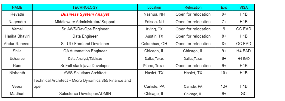 Business System Analyst Hotlist, 