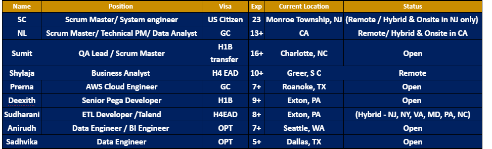 Business Analyst Hotlist,
