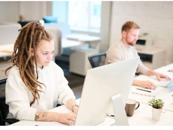 Mainframe Developer