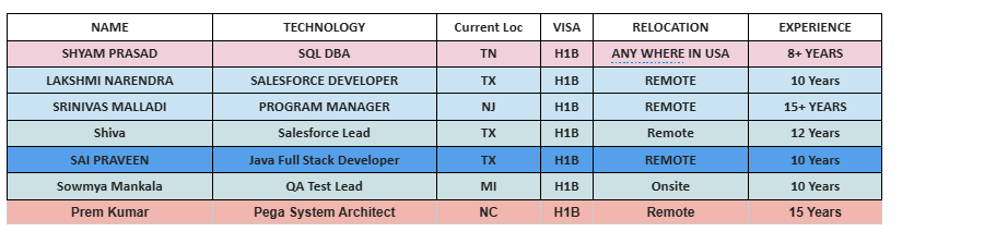 SALESFORCE DEVELOPER HOTLIST
