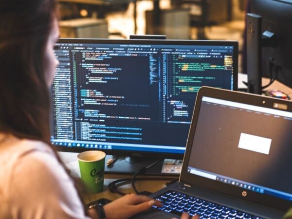 Data Scientist