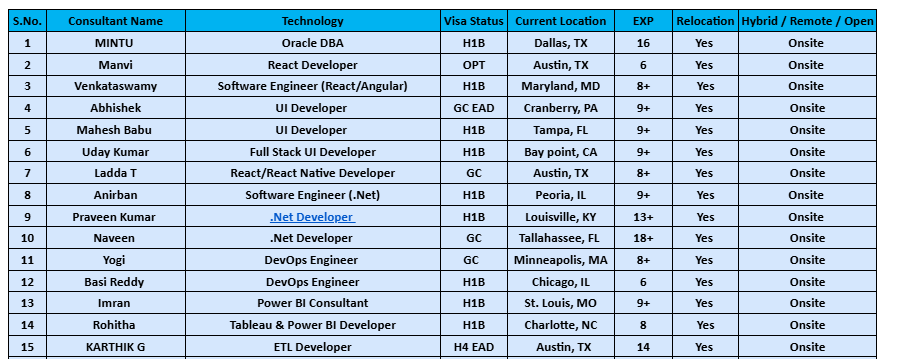 .Net Developer hotlist