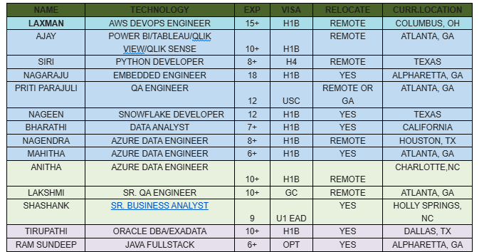 SR. BUSINESS ANALYST HOTLIST