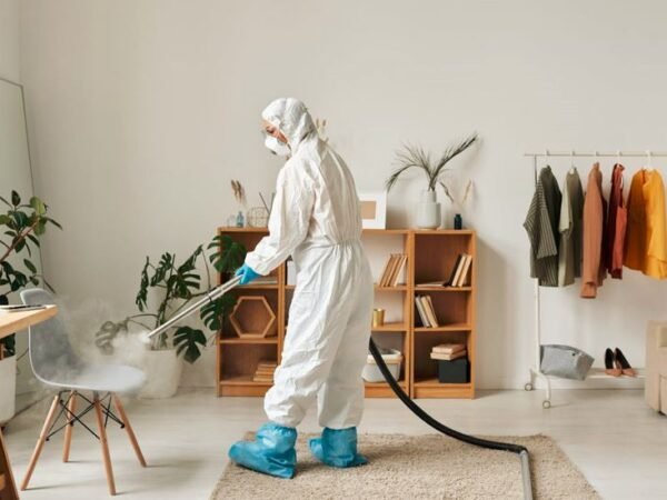 Bed bug treatment london ontario