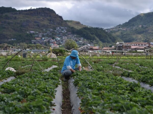 Village of Pinecrest Jobs