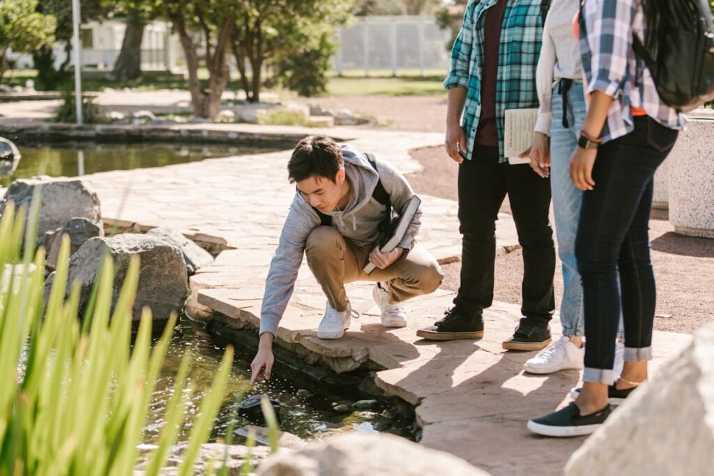 sustainability courses