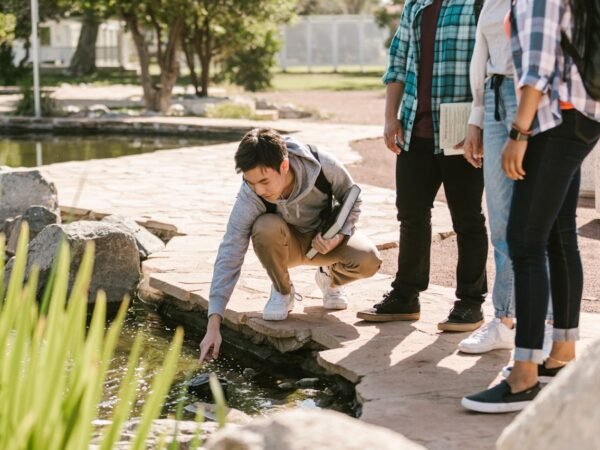 sustainability courses