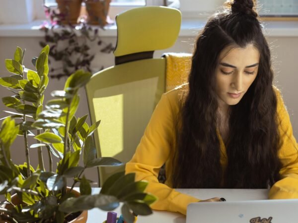 Roanoke Government jobs