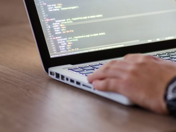 Data Analyst Jobs with Sponsorship